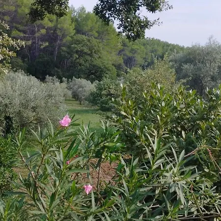 Guestazur Hébergement de vacances Draguignan