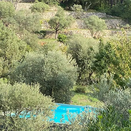 Guestazur *